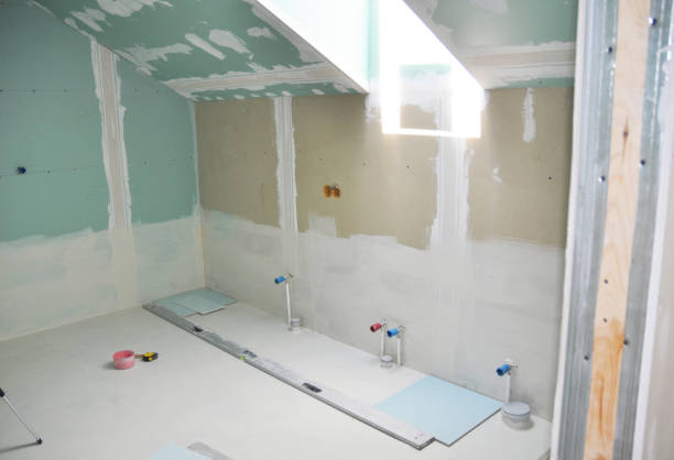 Best Mold Odor Removal Services  in Crystal Lawns, IL