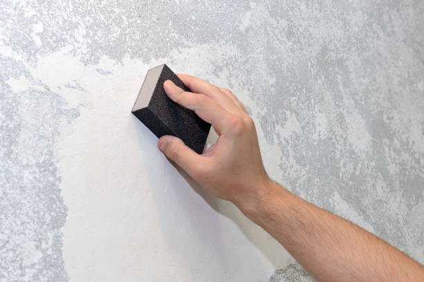 Best Water Damage & Mold Remediation  in Crystal Lawns, IL