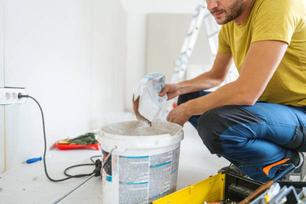 Mold Remediation for Vacation Homes in Crystal Lawns, IL