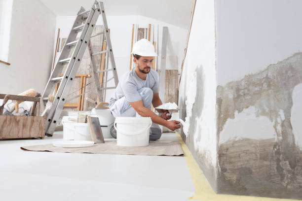Best Industrial Mold Remediation  in Crystal Lawns, IL