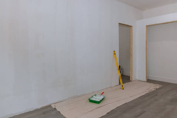 Mold Odor Removal Services in Crystal Lawns, IL