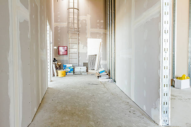 Best Dehumidification Services  in Crystal Lawns, IL